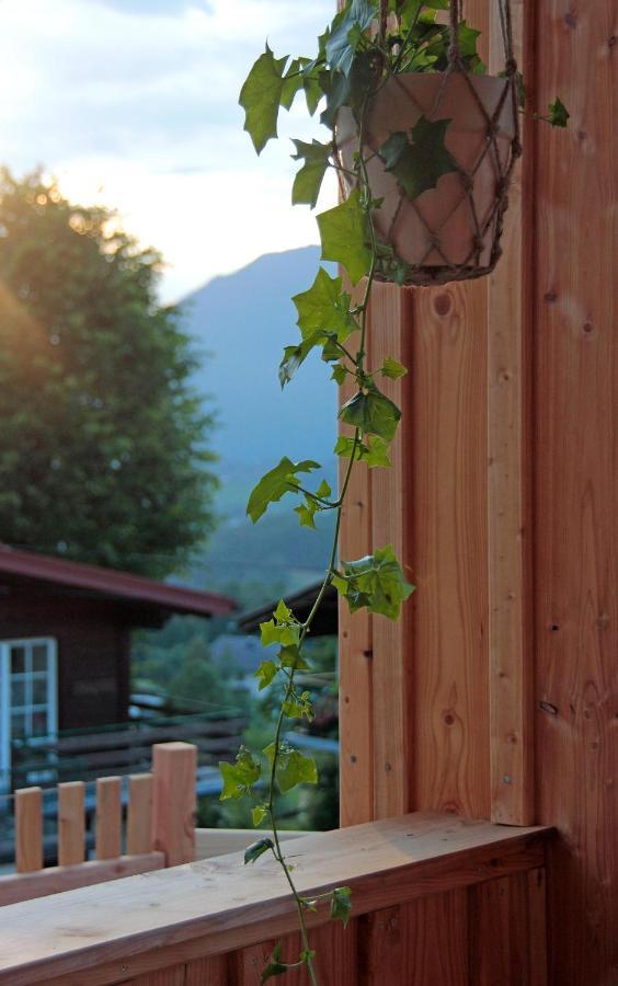 Haus Am Salz Mit Sauna บาดอิสชิล ภายนอก รูปภาพ